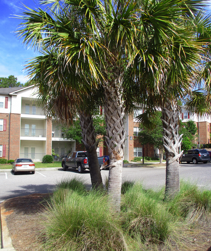 Arbors By The Bay Apartments, 27642 US Highway 98, Daphne, AL RentCafe